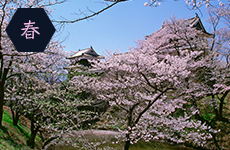 上田城の春