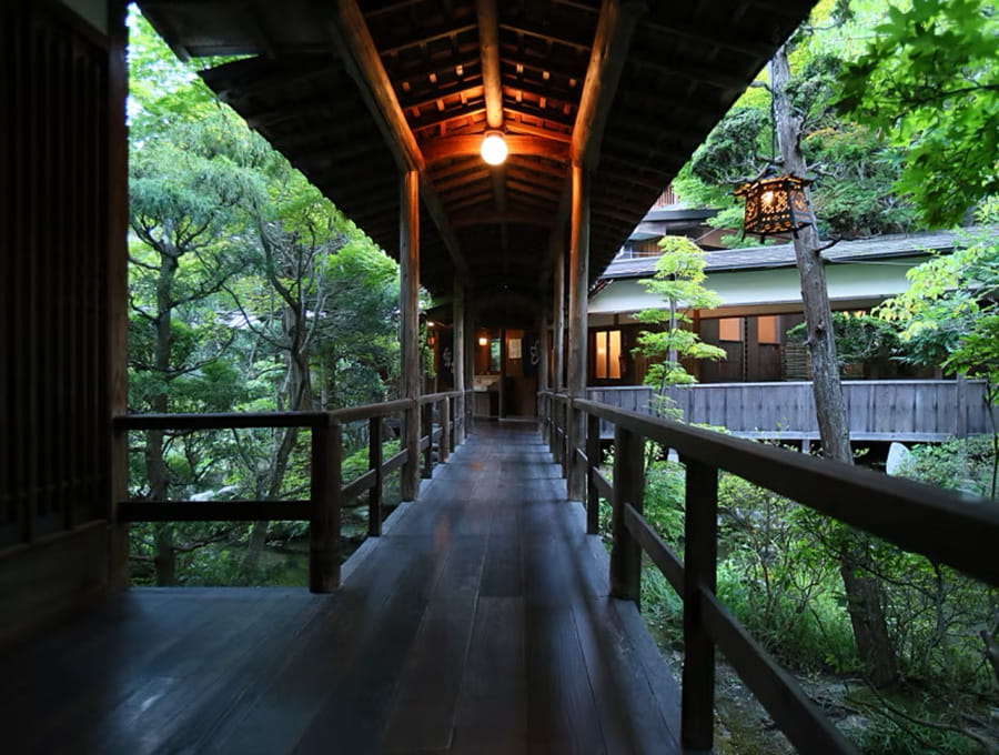 花屋ですごす癒しのゴールデンウィーク