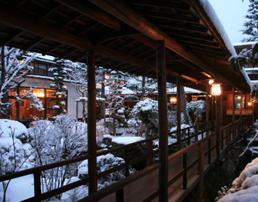 贅を極める松茸会席