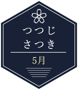 5月つつじさつき