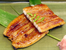 うなぎの蒲焼き