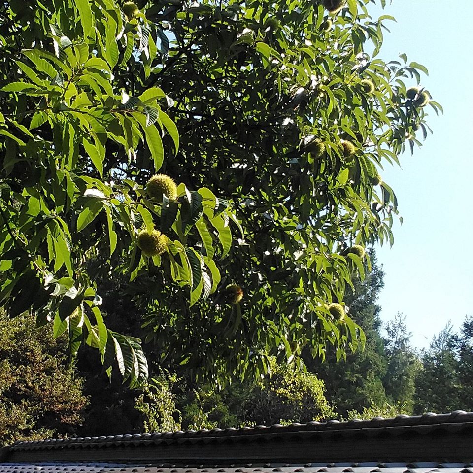 20190926-2.jpg 20190926-2.jpg