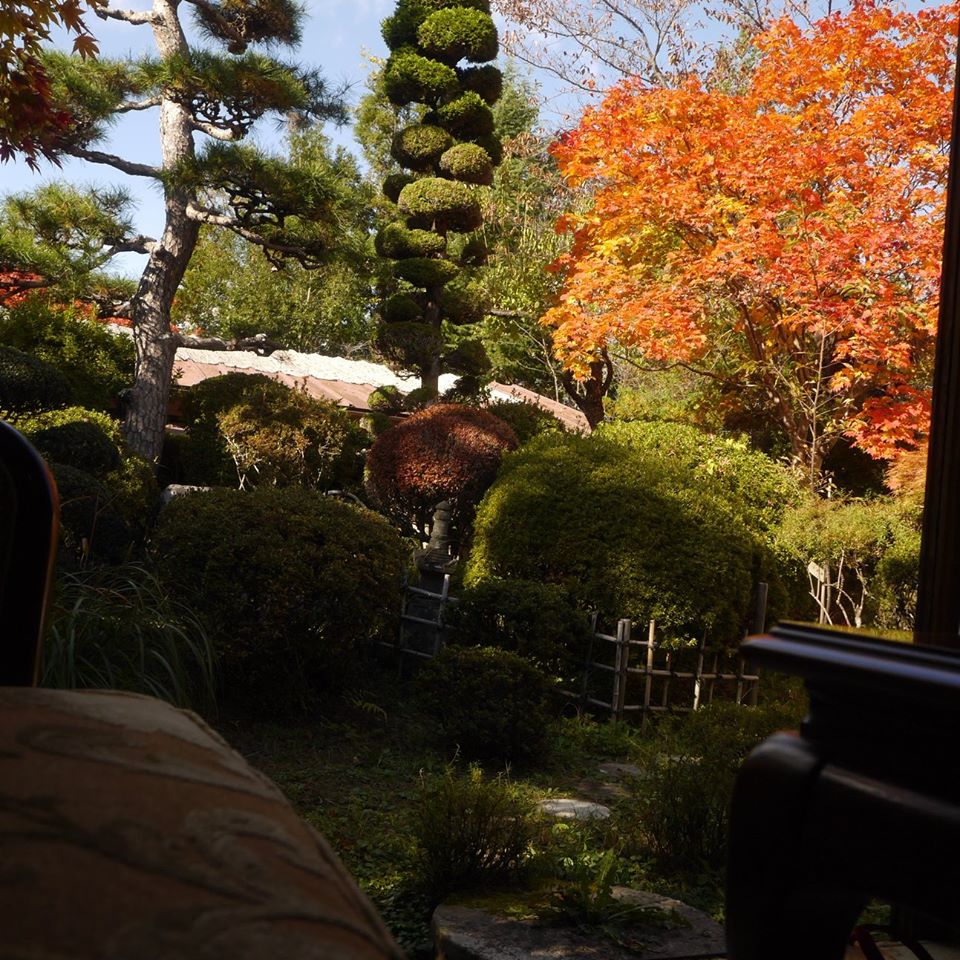 20191104-1.jpg 20191104-1.jpg