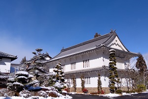 DSC_1556.jpg DSC_1556.jpg