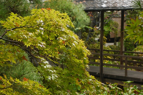 P2310674.JPG P2310674.JPG