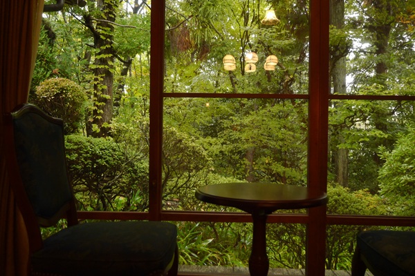 P2310686.JPG P2310686.JPG