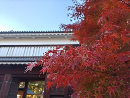 251111151319100.JPG 251111151319100.JPG