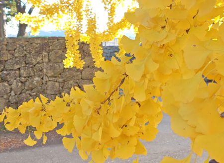 251111151807936IF_2_BURST251111151807936.JPG 251111151807936IF_2_BURST251111151807936.JPG