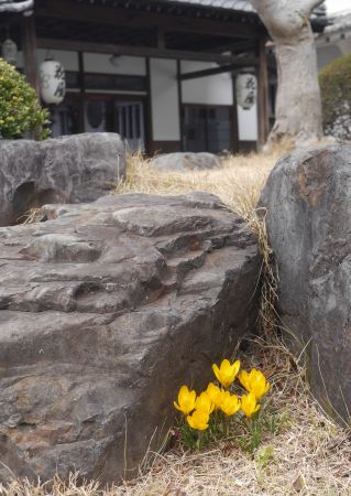 P2320271.JPG P2320271.JPG