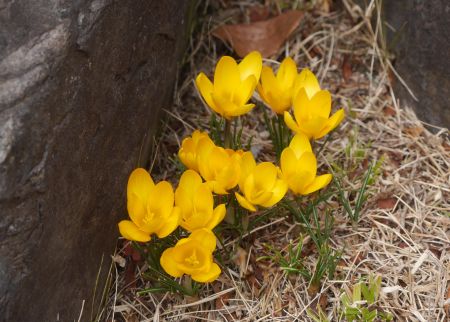 P2320270.JPG P2320270.JPG