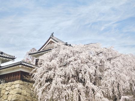 230331111816098.JPG 230331111816098.JPG